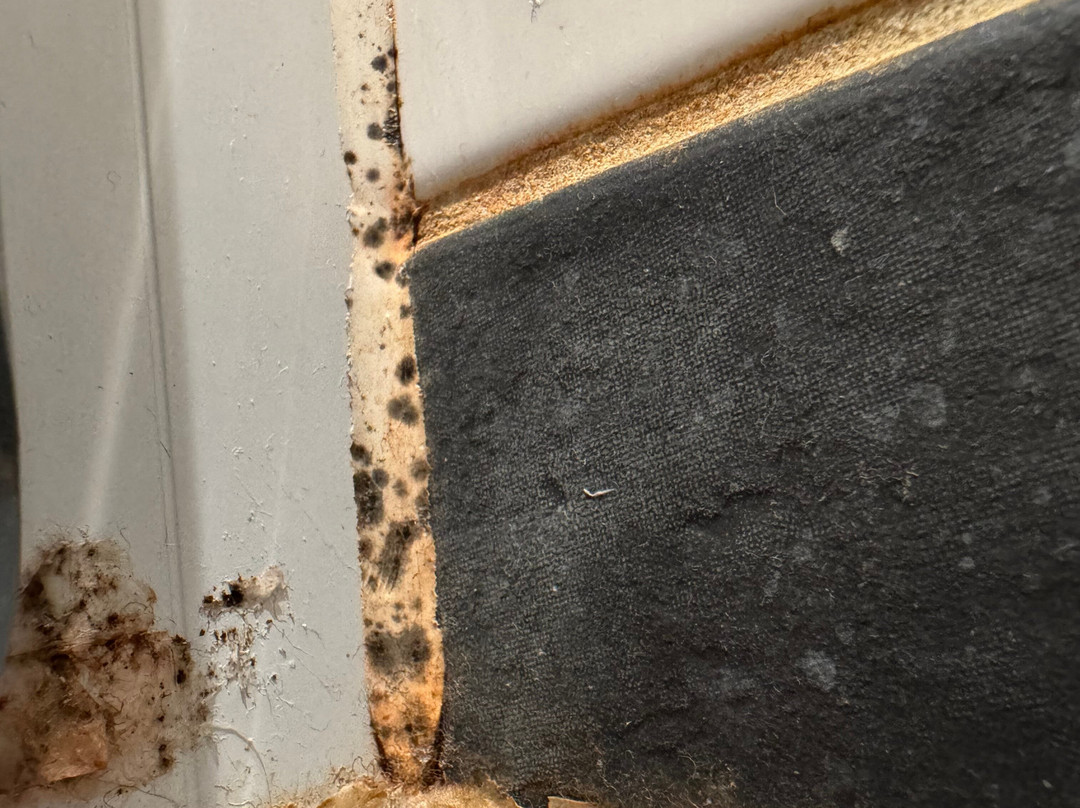 Best Western Leto Arena主图