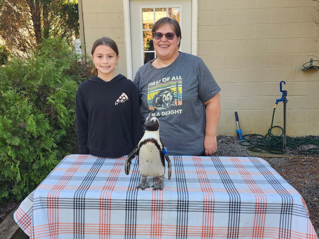 弗吉尼亚游猎公园-天然桥必去景点