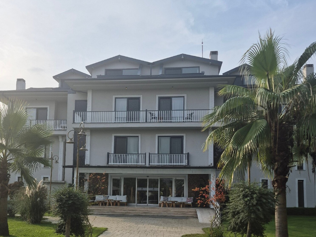 Didi Otel Sapanca主图