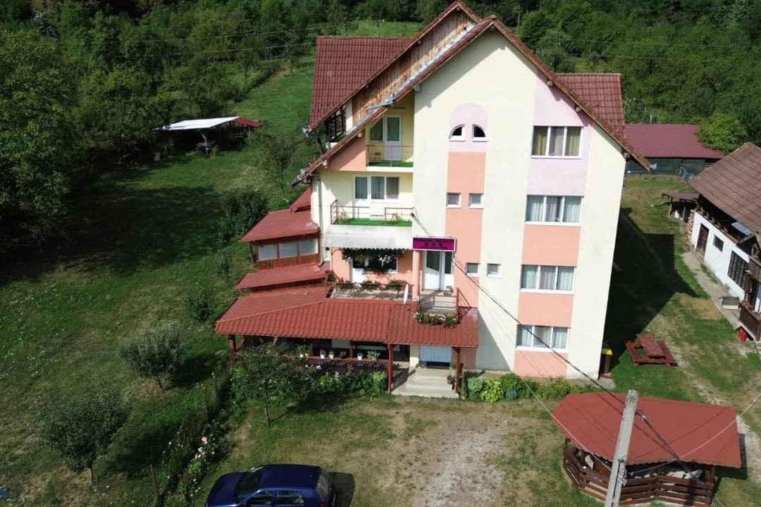 Baile Govora酒店住宿-Pensiunea Nicoleta