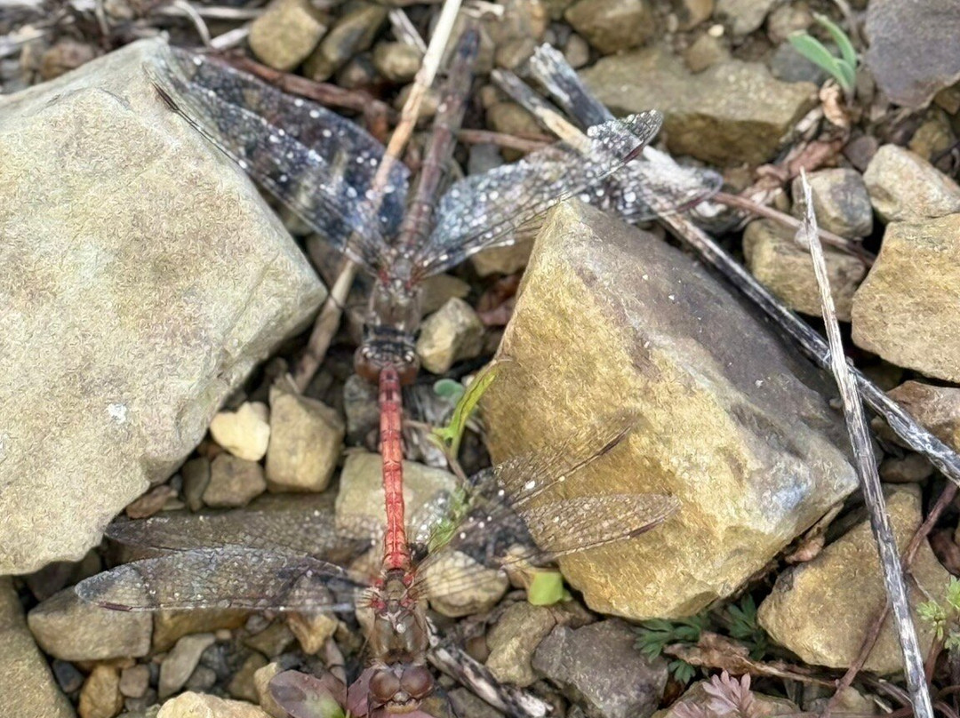 La Posta-巴尼奥维诺尼必去景点