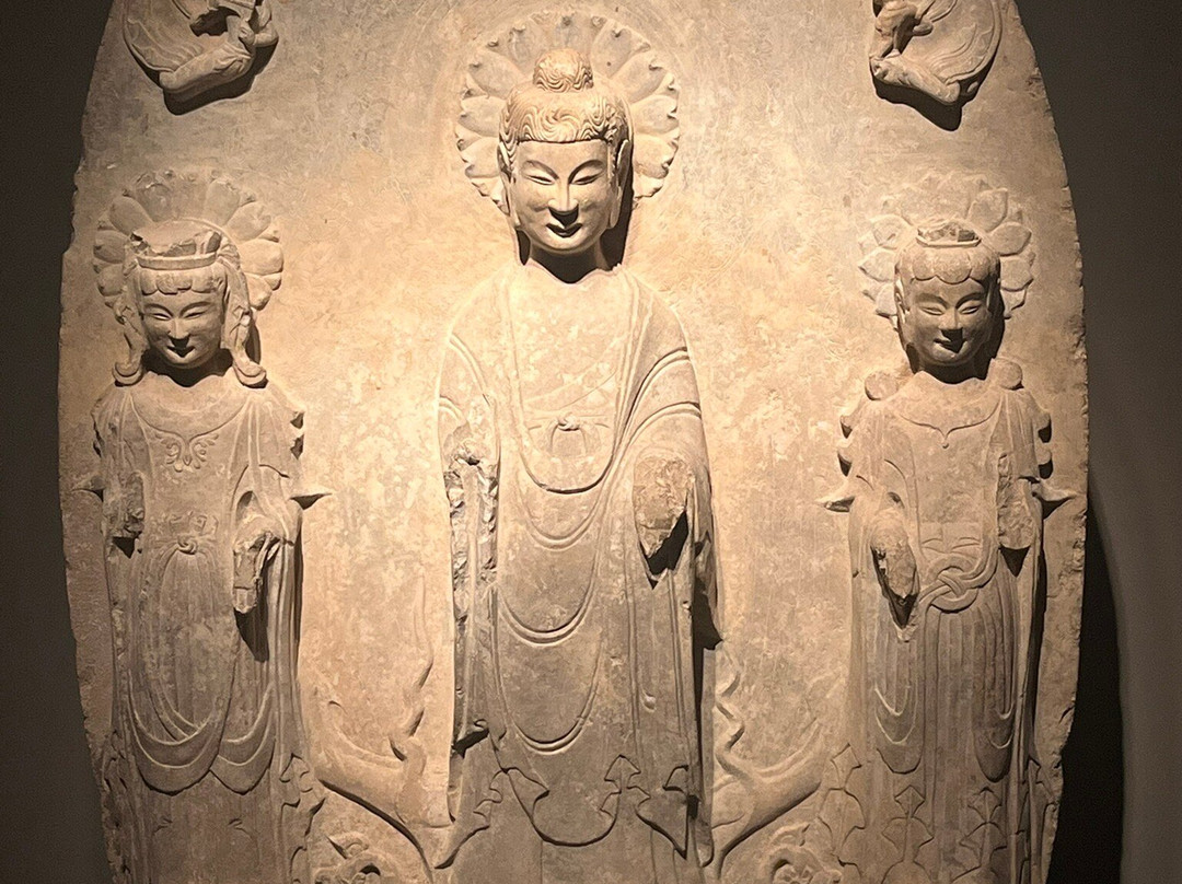 震旦博物館-上海市必去景点