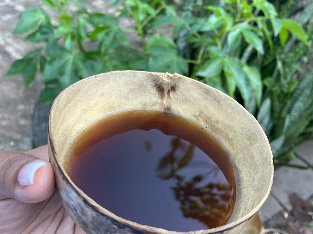 Ecoturismo Comunitario Wayak Sian Kaan-Tres Reyes必去景点