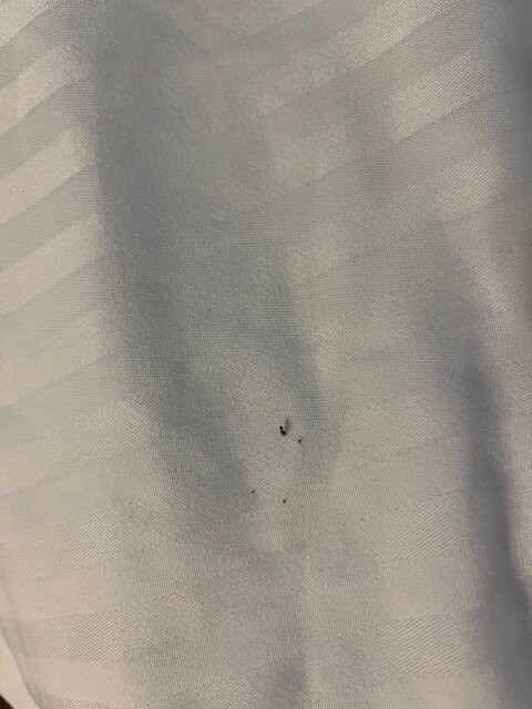 Best Western Plus Rama Inn主图