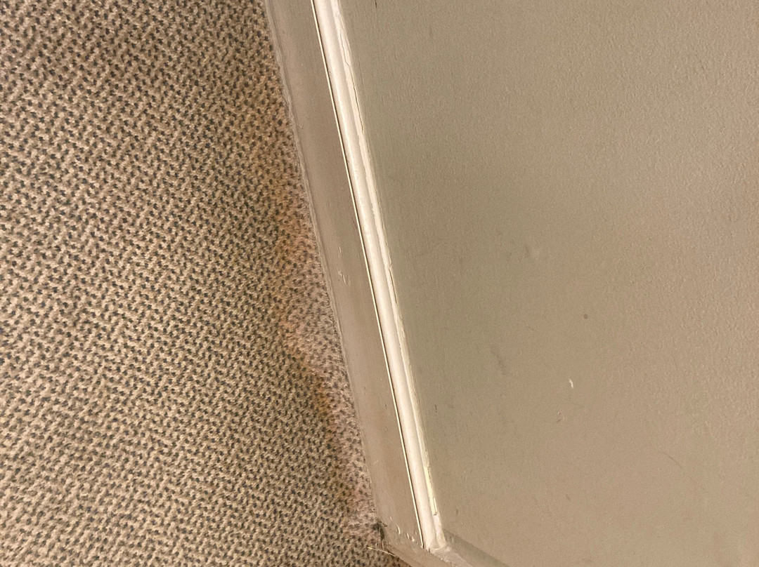 麦克唐纳德林登厅高尔夫酒店&乡村俱乐部主图