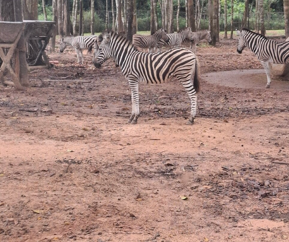 珍珠王国野生动物园-富国岛必去景点