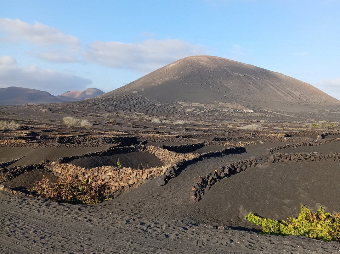 Wine Tours Lanzarote-卡门港必去景点