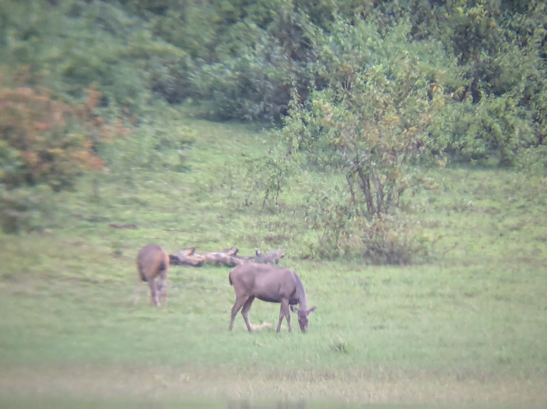 Periyar Cabs-Kumily必去景点