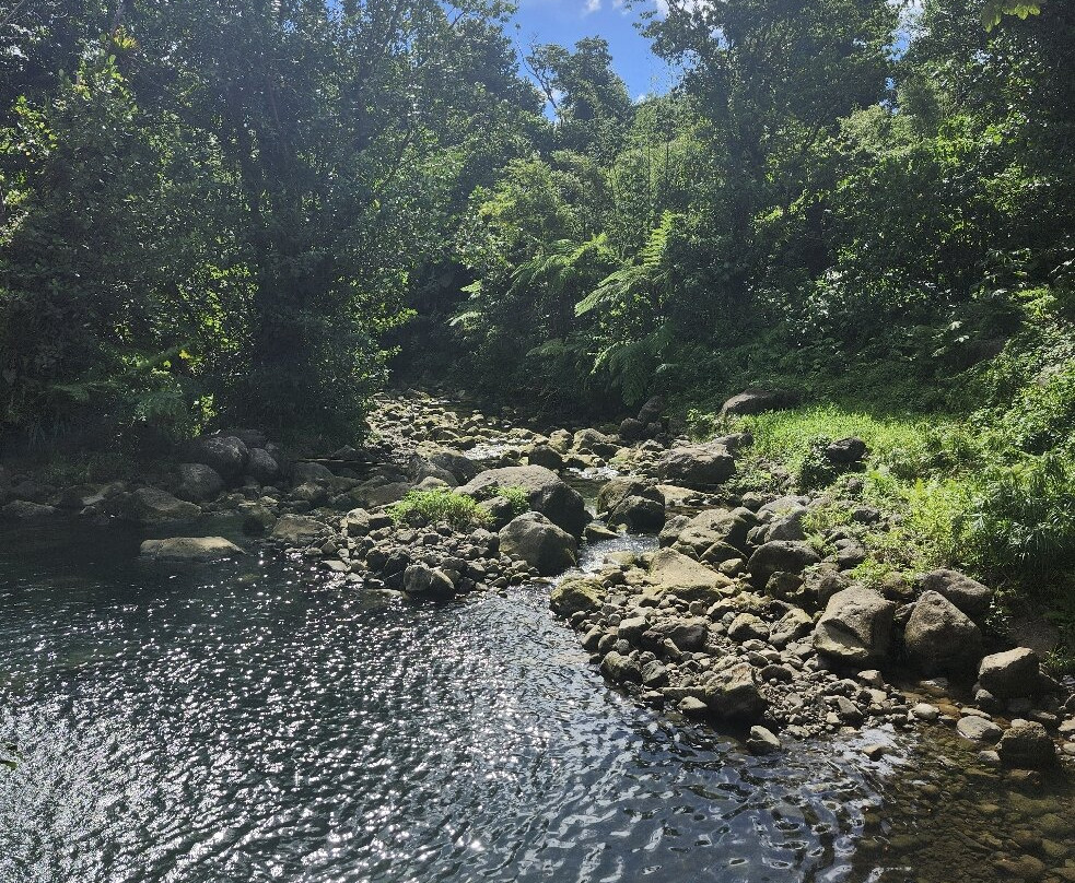 Titou Gorge-多米尼克必去景点