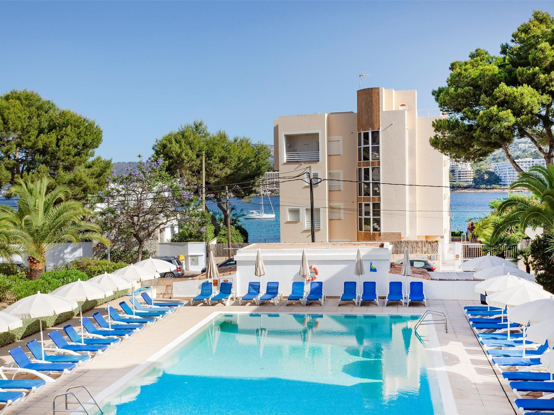 Flipflop Surfing Playa Apartments