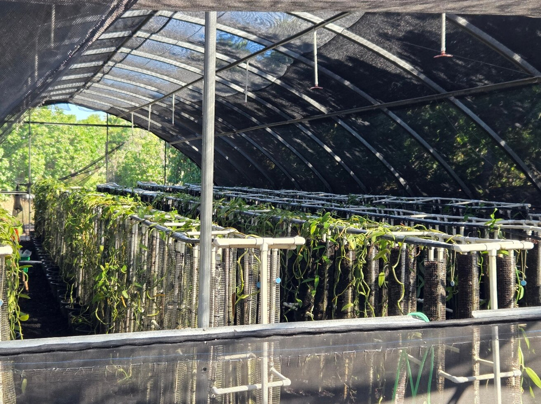 The Vanillerie-凯鲁瓦-柯纳必去景点