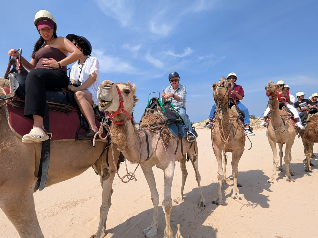 Oakfield Ranch-安娜湾必去景点