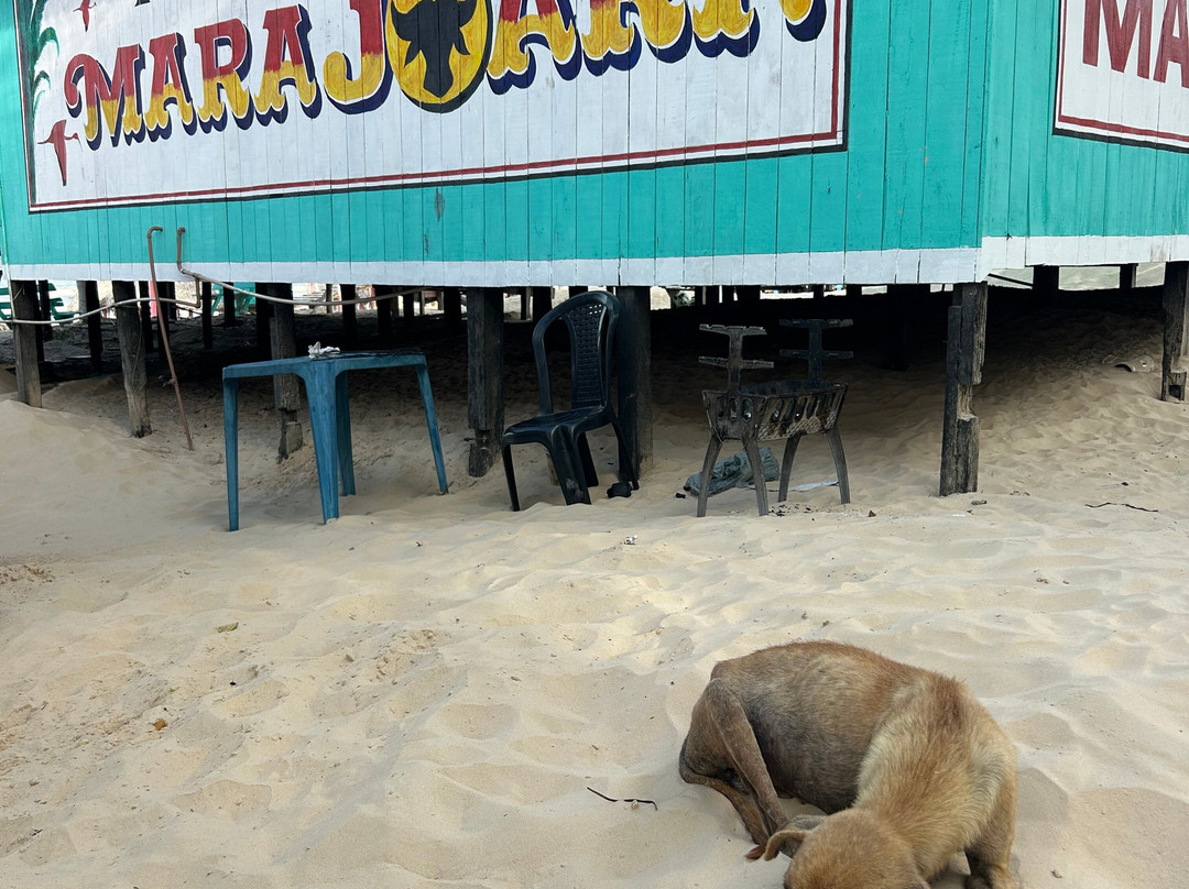 Marajó Eco'Tur Receptivo e Passeios Turísticos-Soure必去景点