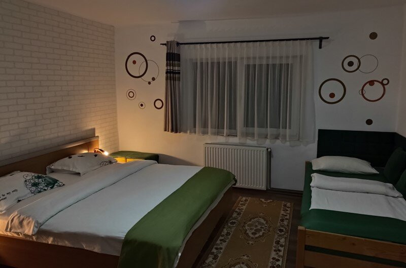 Pensiunea Verde主图