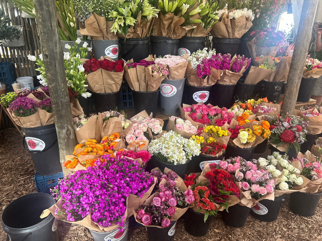 Oranjezicht City Farm-开普敦中心区必去景点