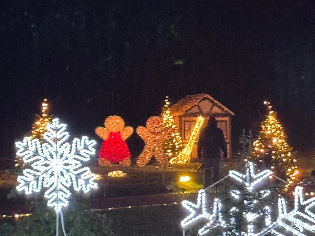 Christmas Garden Insel Mainau-康士坦茨必去景点