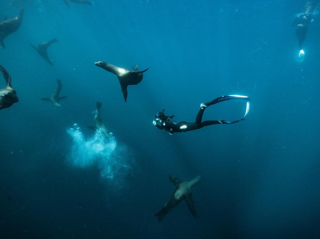 Tanner Underwater-朱庇特必去景点