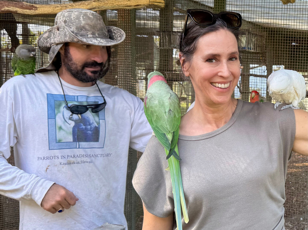 Parrots in Paradise Sanctuary-基亚拉凯库亚必去景点