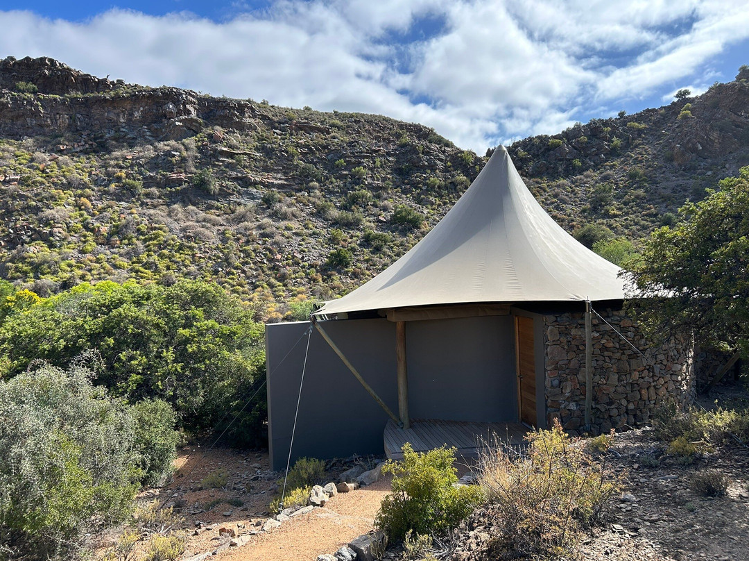 Hylton Ross Exclusive Touring-开普敦中心区必去景点