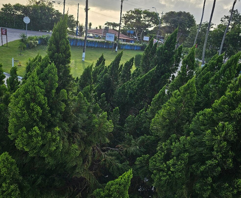 Sueds Segundo Sol主图