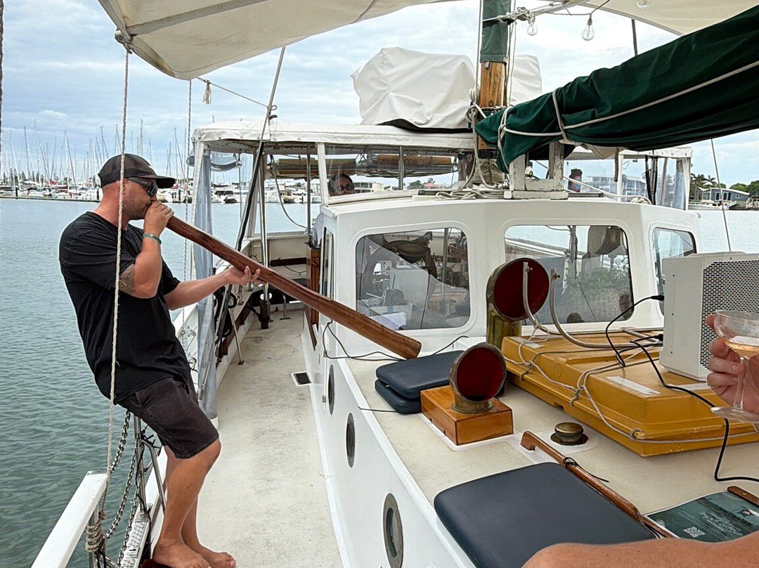 Saltwater Eco Tours-穆鲁拉巴必去景点