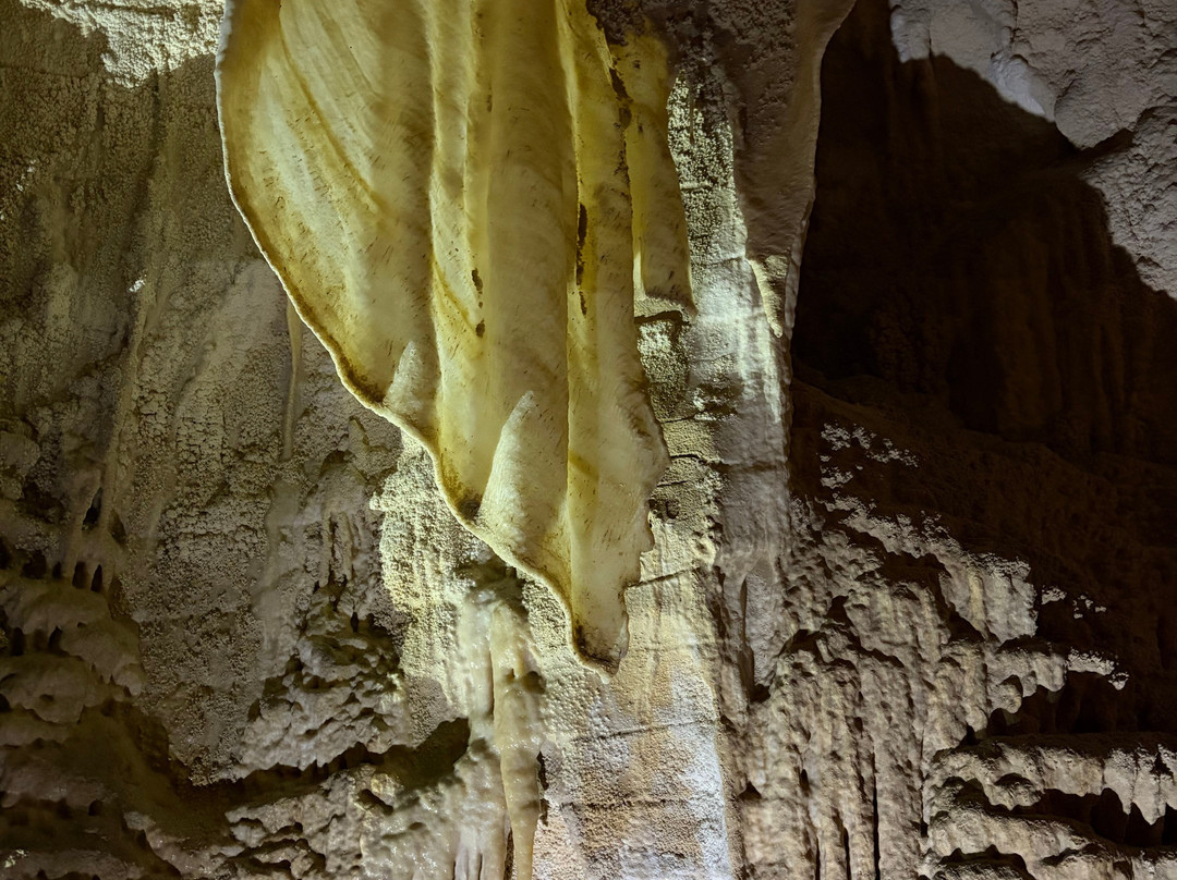 Ruakuri Cave-怀托摩洞穴必去景点
