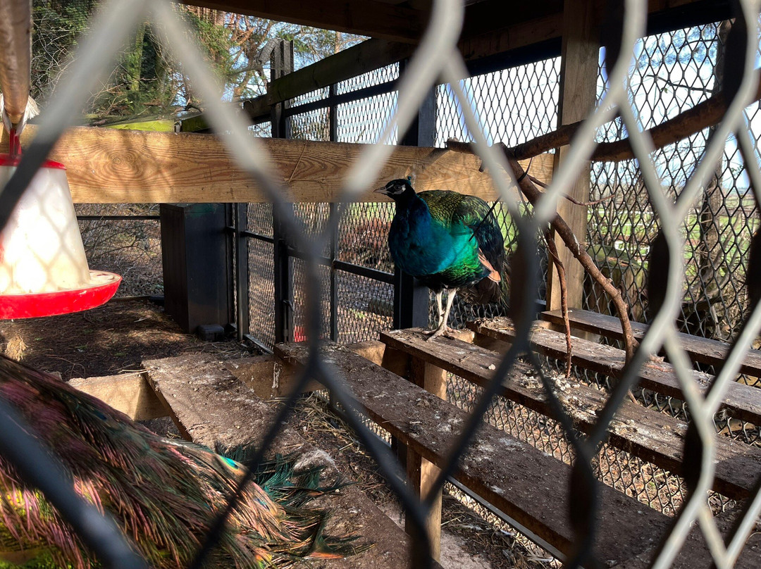 Windmill Farm Park-Kibworth Harcourt必去景点