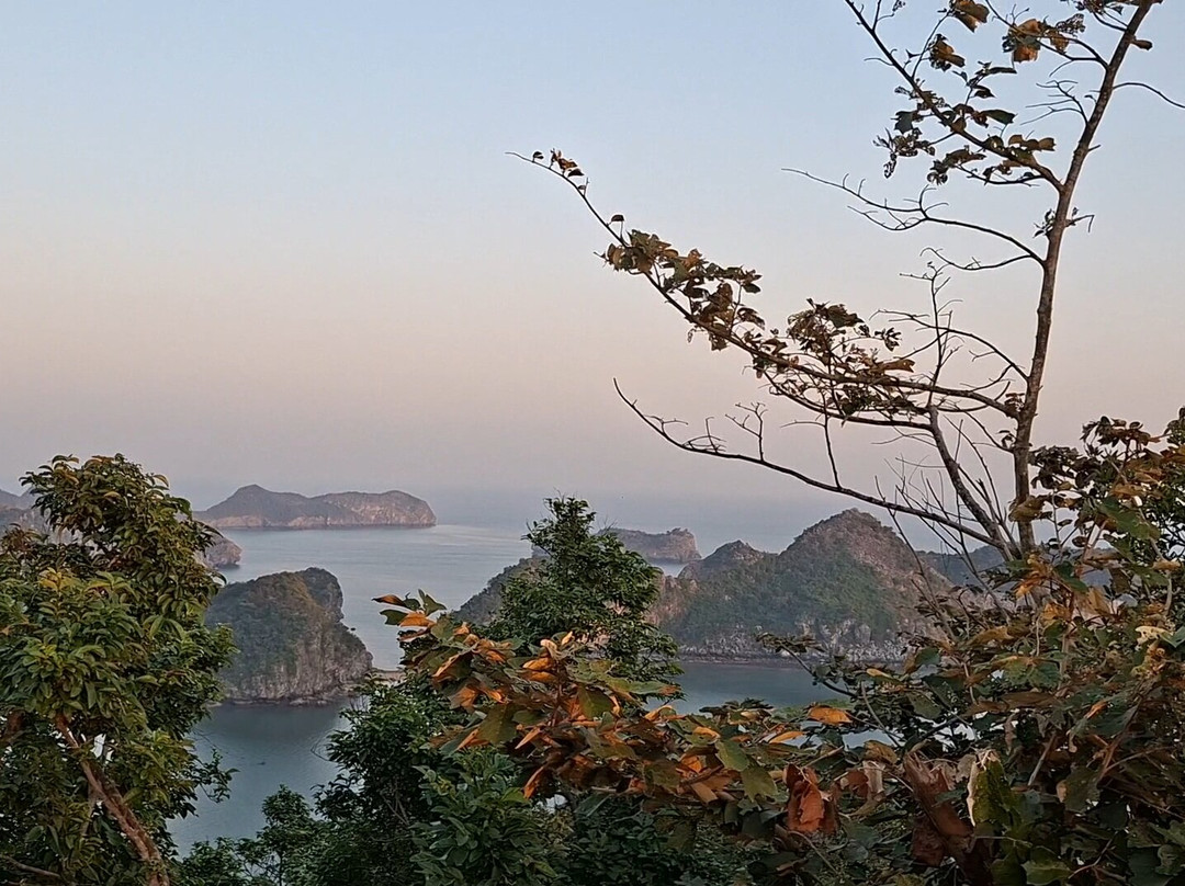 Cat Ba View-卡巴必去景点