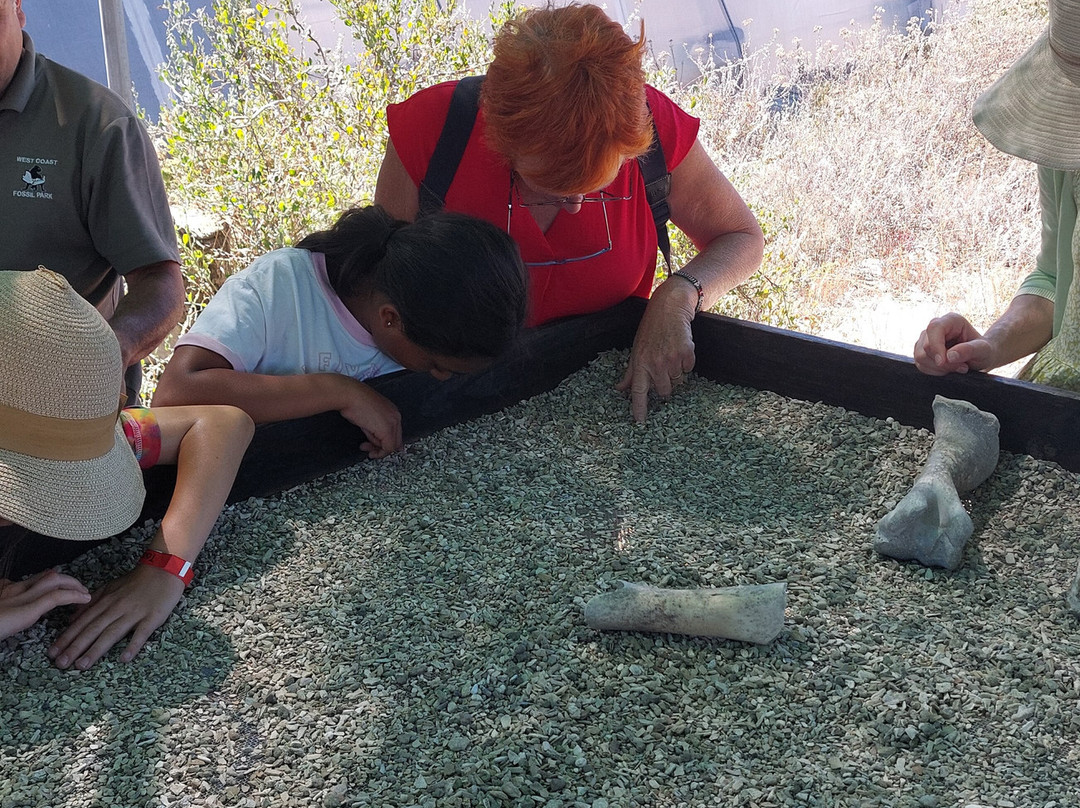 West Coast Fossil Park-Vredenburg必去景点
