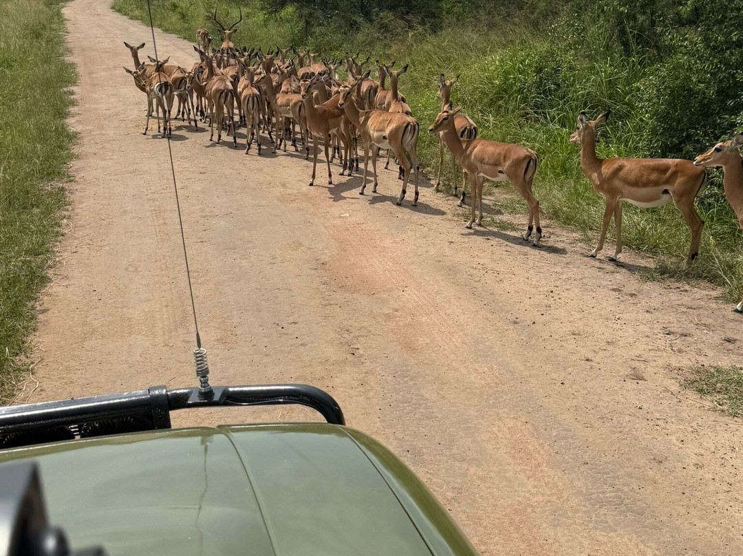 Kadoo Travels-吉佳利必去景点