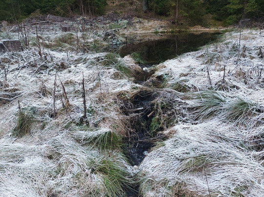 Pension & Fewo´s Talblick主图