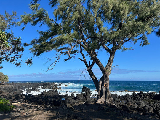 The Magic of Maui Experience-基黑必去景点
