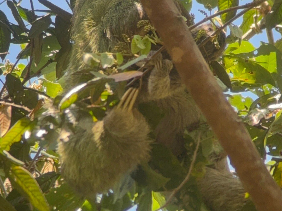 WAKING DREAMS COSTA RICA-圣何塞必去景点