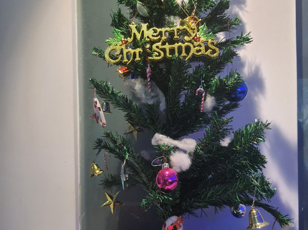 斯沃斯提酒店主图