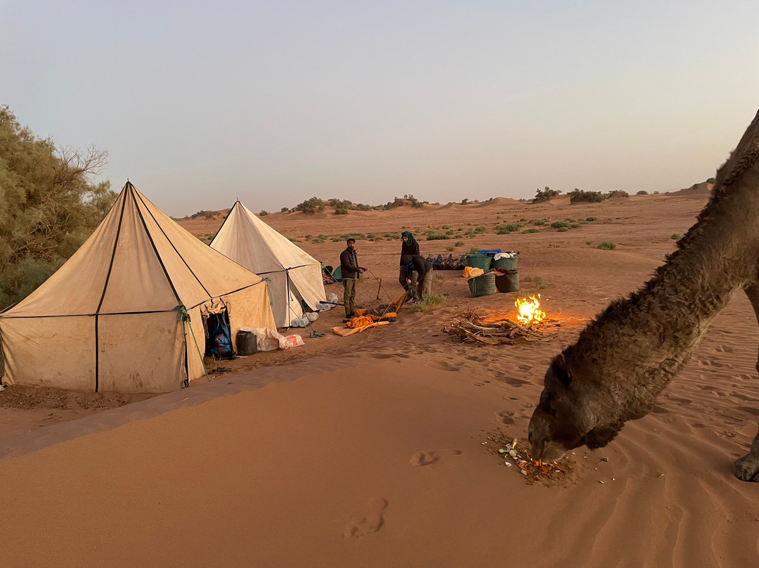 Sahara Steps-扎古拉必去景点