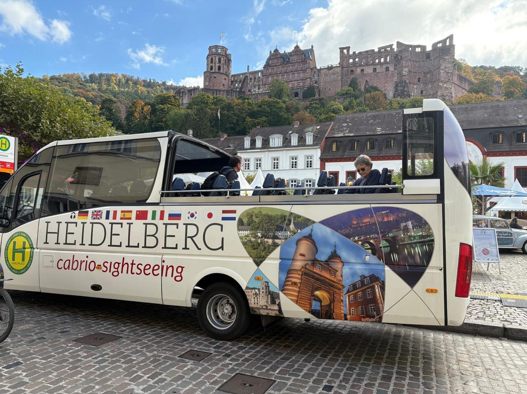 Carl's Square (Karlsplatz)-海德尔堡必去景点