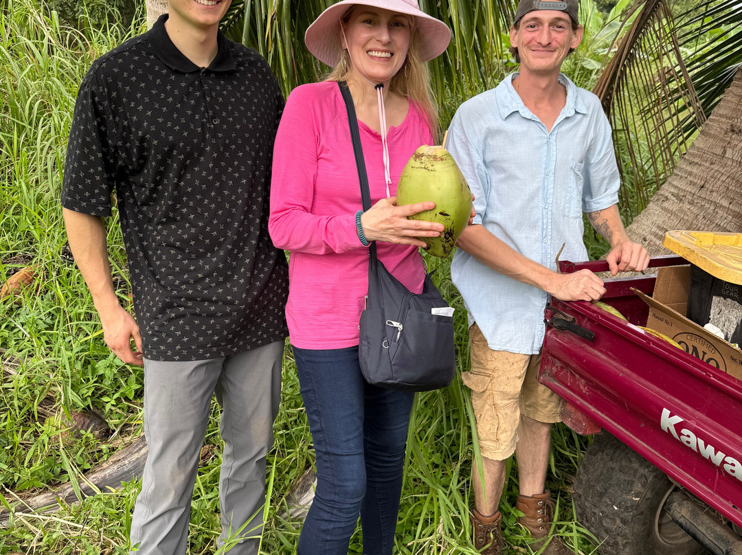 ONO Organic Farms-哈纳必去景点