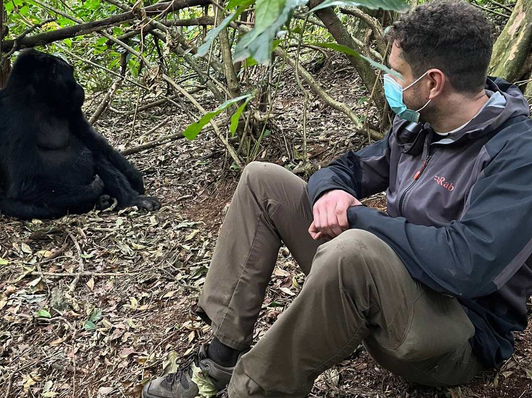 Go Gorilla Trekking-吉佳利必去景点