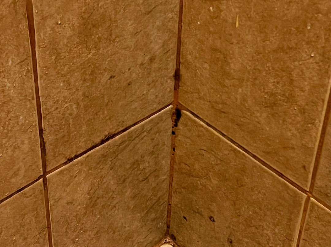 可可海滩酒店主图