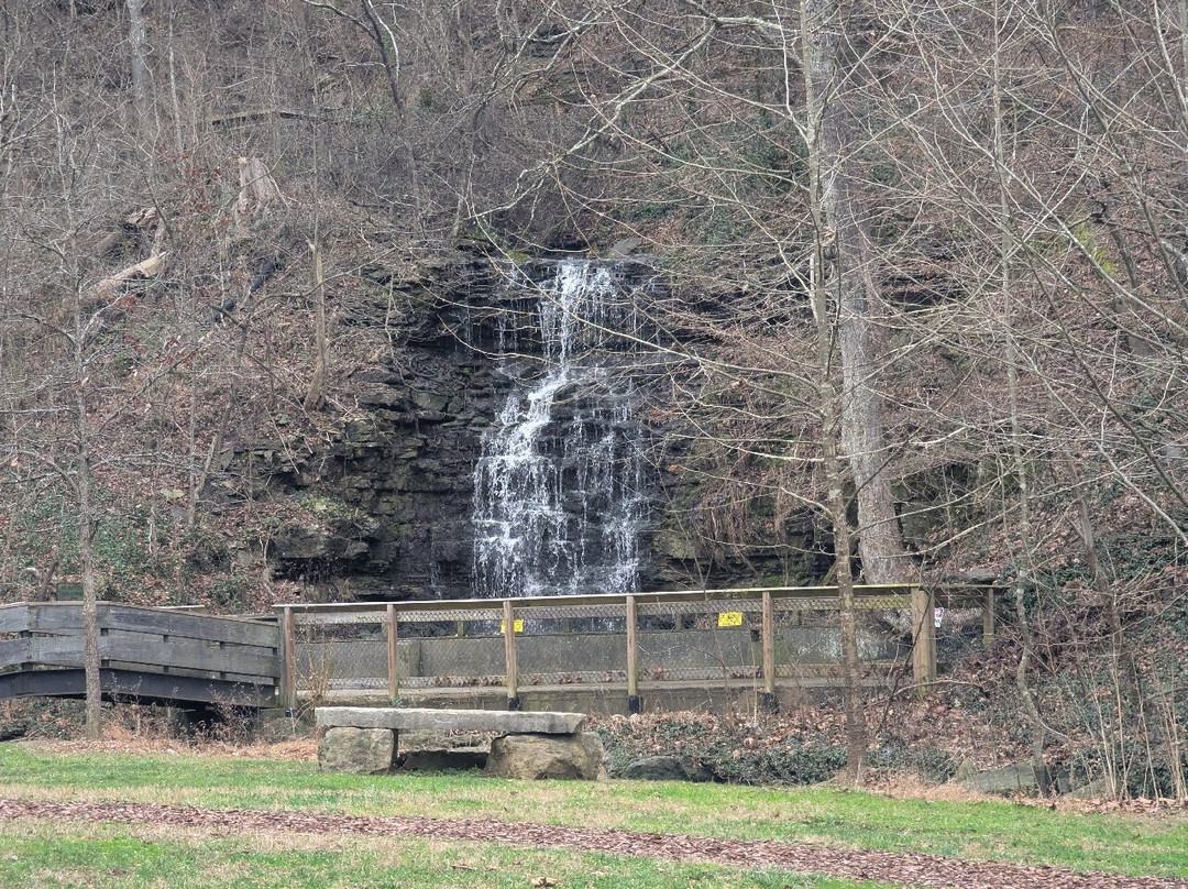Cove Springs Park-法兰克福必去景点