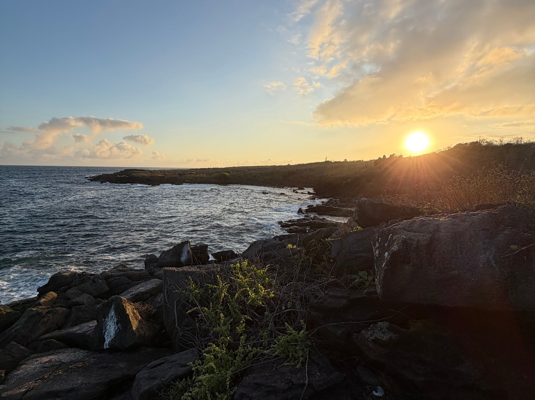 Uniquely Galapagos-阿约拉港必去景点