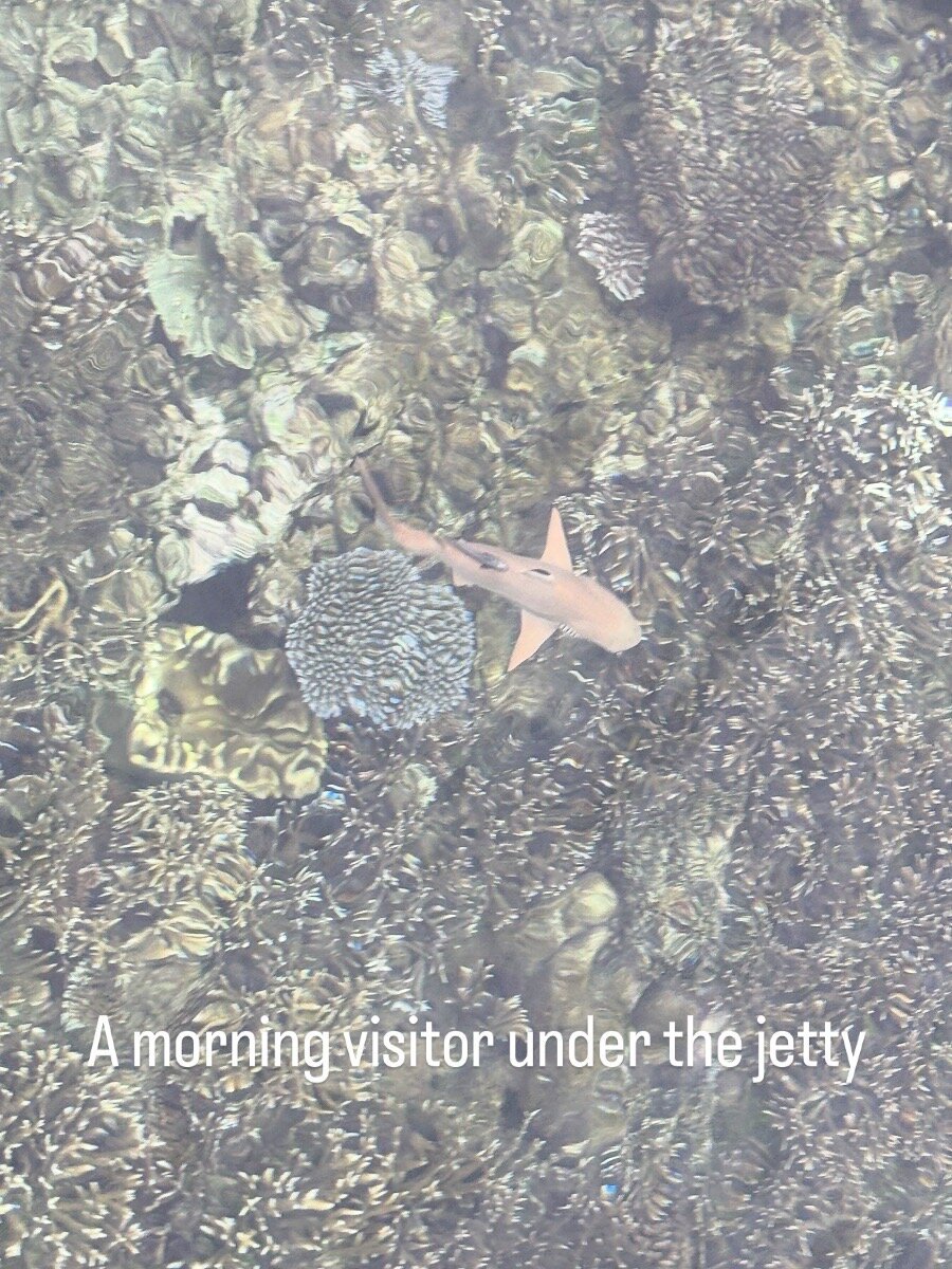 瓦伊沃拉贾安帕潜水假日公园-官方