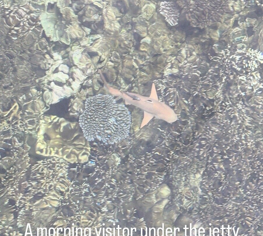 瓦伊沃拉贾安帕潜水假日公园主图