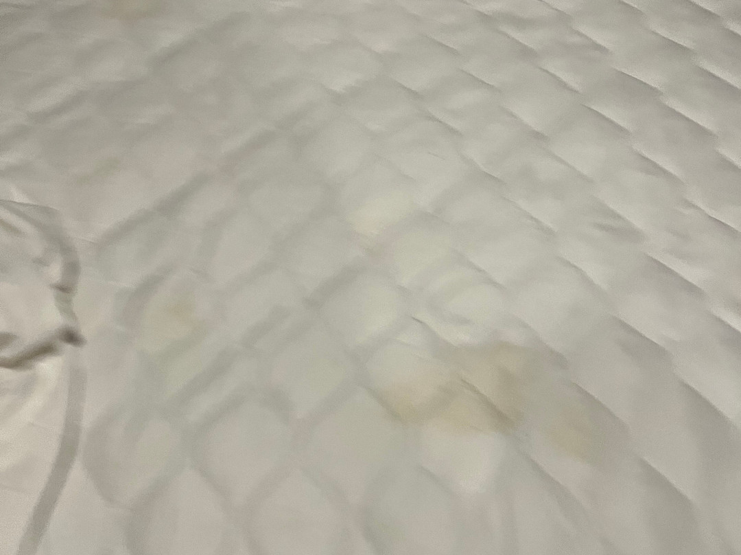 Raja Hotel Kuta Mandalika主图