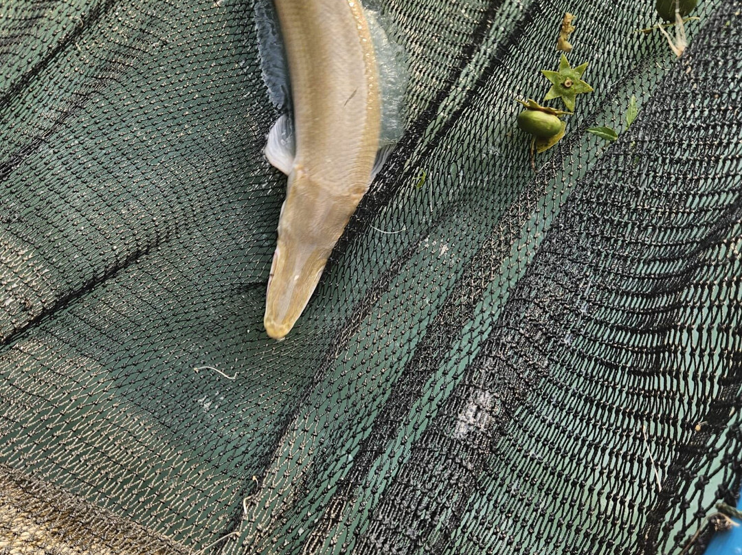 Samui Fishing Club And Resort-马叻必去景点