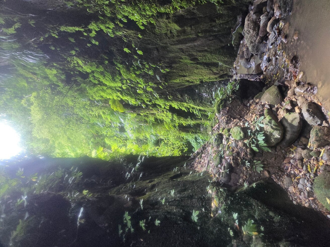 Canoe Safaris-奥阿库尼必去景点