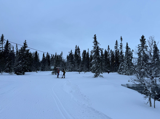 Lövåsgårdens Fjällhotell主图