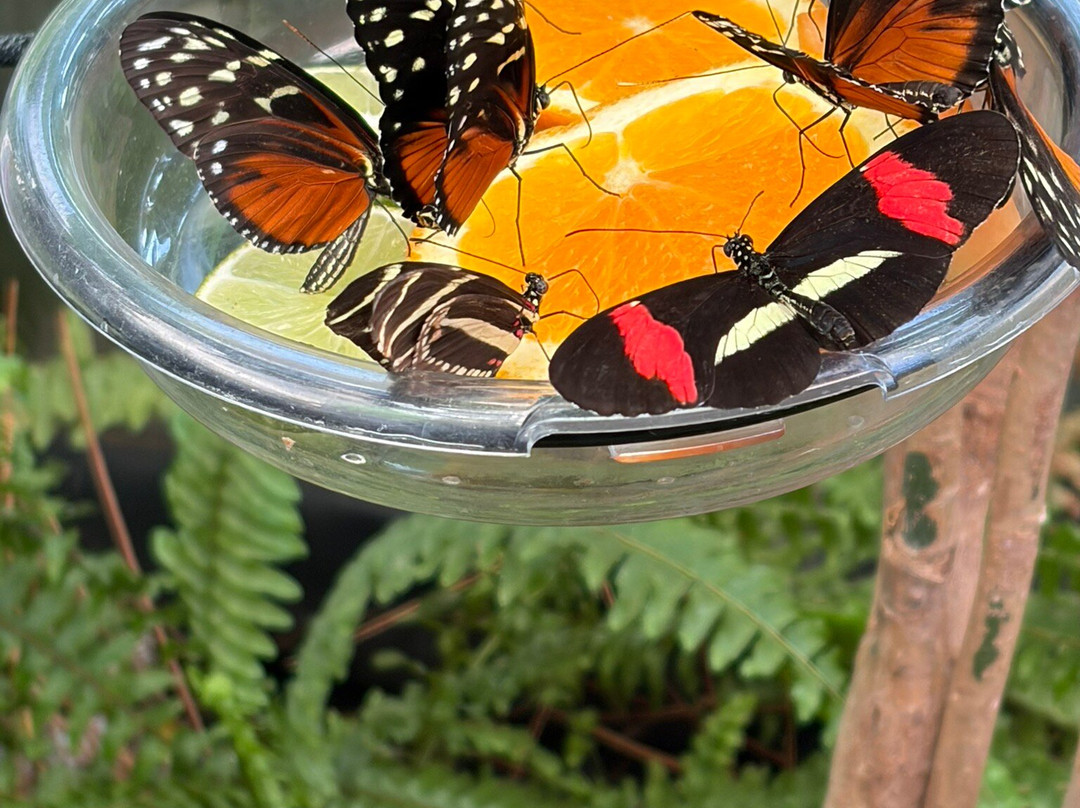 Canadian Museum Of Nature-渥太华必去景点