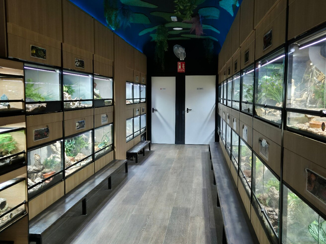 Snakeroom Serpentarium-福恩吉罗拉必去景点