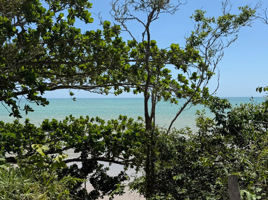 Calambriao Beach-Cumuruxatiba必去景点